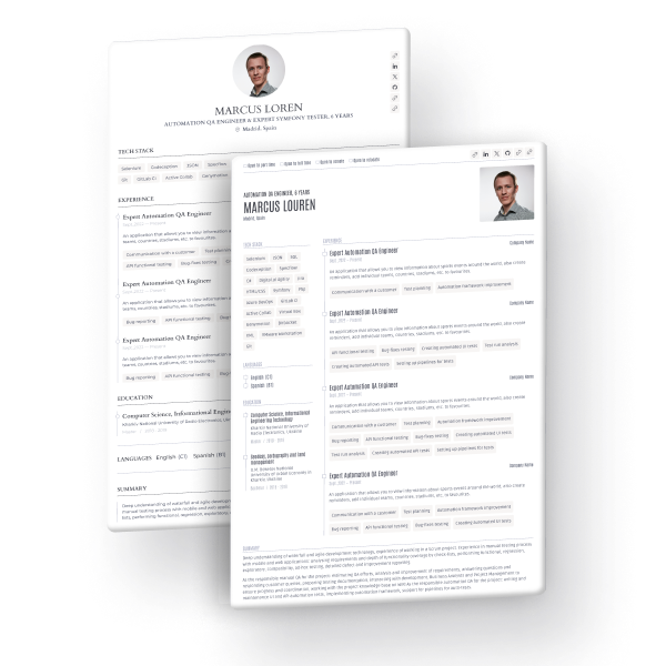 Professional resume template preview